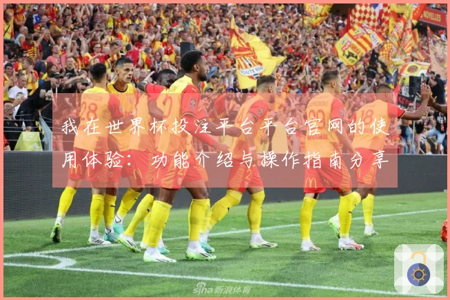 我在世界杯投注平台平台官网的使用体验：功能介绍与操作指南分享