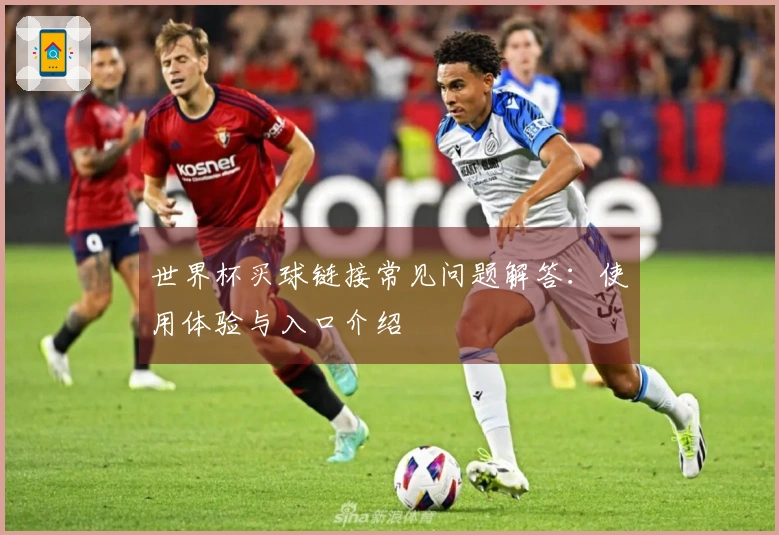 世界杯买球链接常见问题解答：使用体验与入口介绍