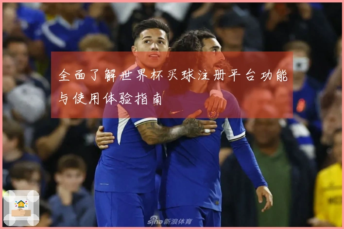 全面了解世界杯买球注册平台功能与使用体验指南