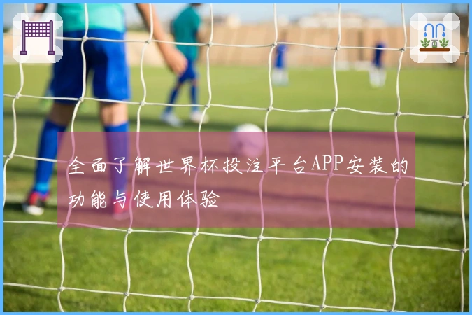 全面了解世界杯投注平台APP安装的功能与使用体验