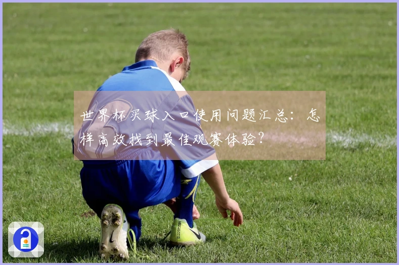 世界杯买球入口使用问题汇总:怎样高效找到最佳观赛体验?