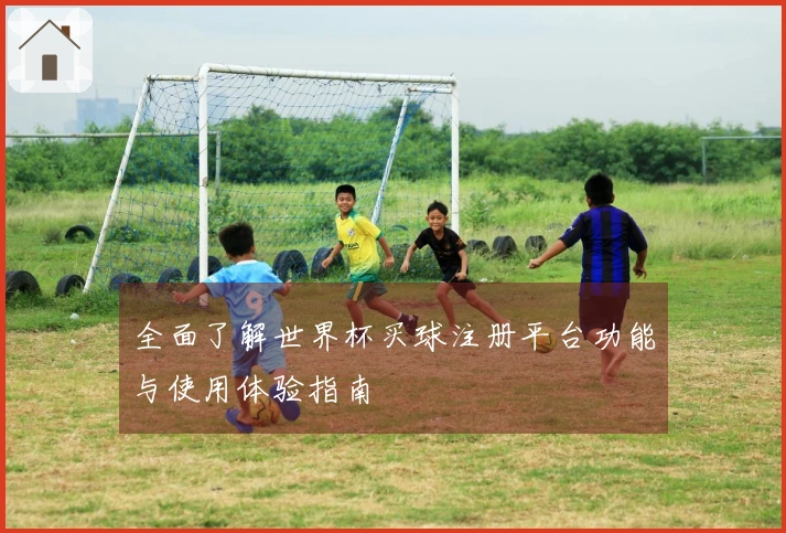 全面了解世界杯买球注册平台功能与使用体验指南