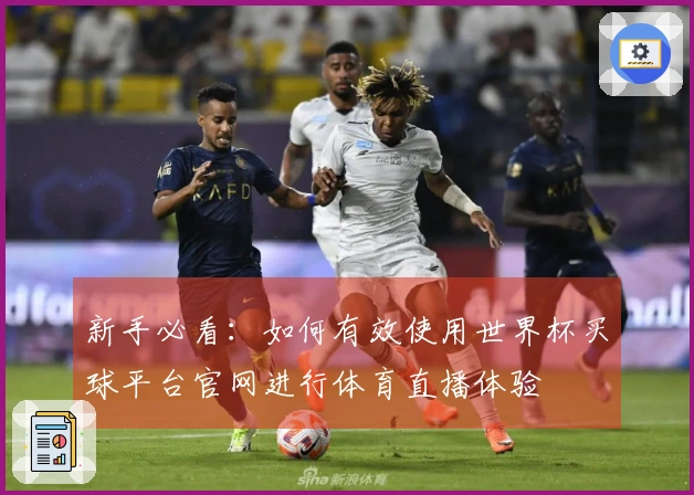 新手必看：如何有效使用世界杯买球平台官网进行体育直播体验