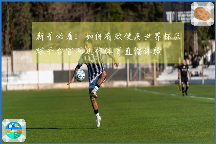 新手必看：如何有效使用世界杯买球平台官网进行体育直播体验