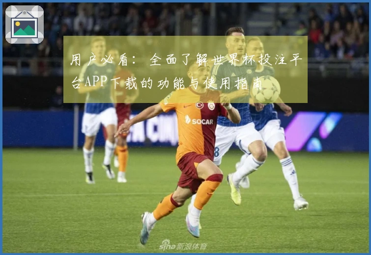 用户必看：全面了解世界杯投注平台APP下载的功能与使用指南