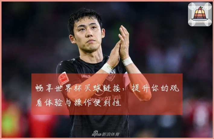 畅享世界杯买球链接,提升你的观看体验与操作便利性